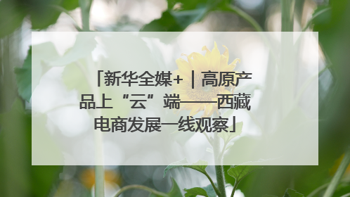 新华全媒+｜高原产品上“云”端——西藏电商发展一线观察