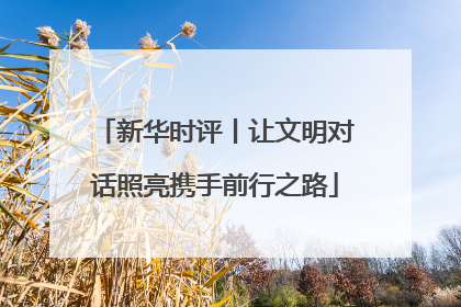 新华时评丨让文明对话照亮携手前行之路