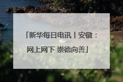 新华每日电讯丨安徽：网上网下 崇德向善