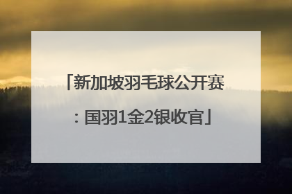新加坡羽毛球公开赛：国羽1金2银收官