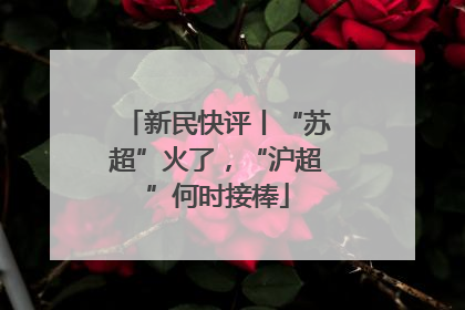 新民快评丨“苏超”火了，“沪超”何时接棒
