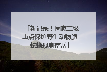 新记录！国家二级重点保护野生动物脆蛇蜥现身南岳
