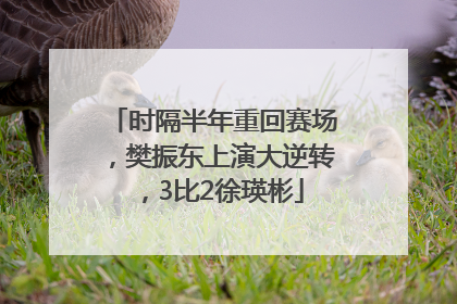 时隔半年重回赛场，樊振东上演大逆转，3比2徐瑛彬