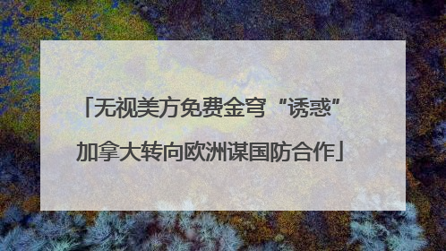 无视美方免费金穹“诱惑” 加拿大转向欧洲谋国防合作