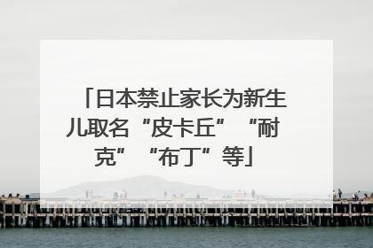 日本禁止家长为新生儿取名“皮卡丘”“耐克”“布丁”等