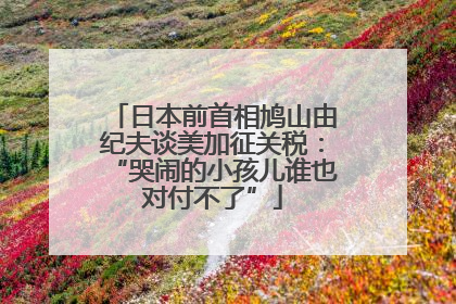 日本前首相鸠山由纪夫谈美加征关税：“哭闹的小孩儿谁也对付不了”
