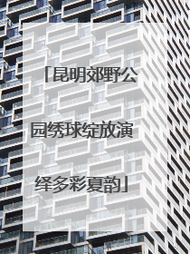 昆明郊野公园绣球绽放演绎多彩夏韵