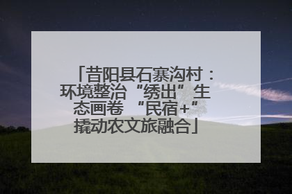 昔阳县石寨沟村：环境整治“绣出”生态画卷 “民宿+”撬动农文旅融合