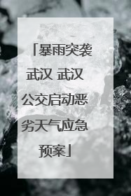 暴雨突袭武汉 武汉公交启动恶劣天气应急预案