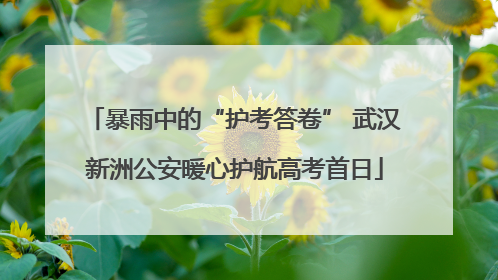 暴雨中的“护考答卷” 武汉新洲公安暖心护航高考首日
