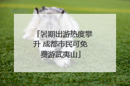 暑期出游热度攀升 成都市民可免费游武夷山