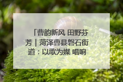 曹韵新风 田野芬芳｜菏泽曹县磐石街道：以歌为媒 唱响乡土“新歌声”