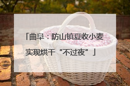 曲阜：防山镇夏收小麦实现烘干“不过夜”