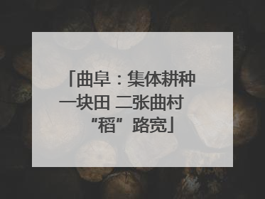 曲阜：集体耕种一块田 二张曲村“稻”路宽