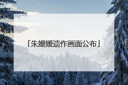 朱媛媛遗作画面公布