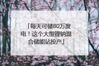 每天可储80万度电！这个大型锂钠混合储能站投产