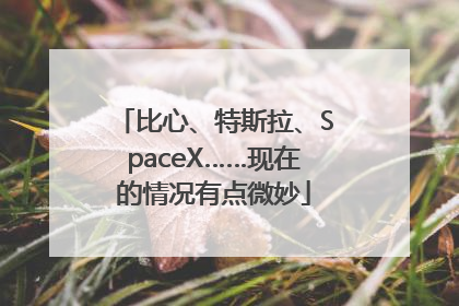 比心、特斯拉、SpaceX……现在的情况有点微妙