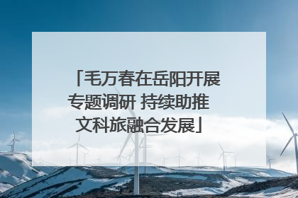 毛万春在岳阳开展专题调研 持续助推文科旅融合发展