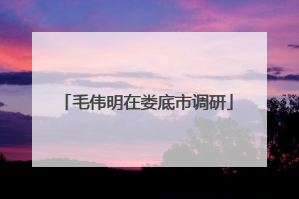 毛伟明在娄底市调研