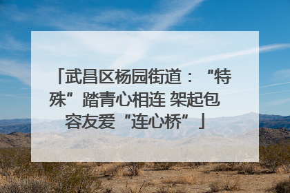 武昌区杨园街道：“特殊”踏青心相连 架起包容友爱“连心桥”