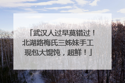 武汉人过早莫错过！北湖路梅氏三姊妹手工现包大馄饨，超鲜！