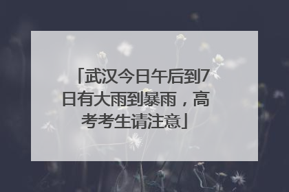 武汉今日午后到7日有大雨到暴雨，高考考生请注意