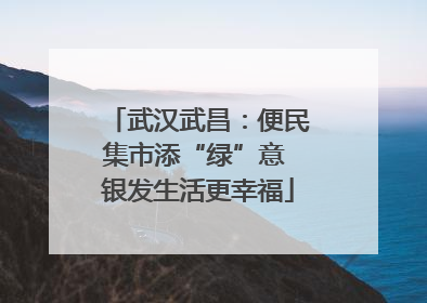 武汉武昌：便民集市添“绿”意 银发生活更幸福