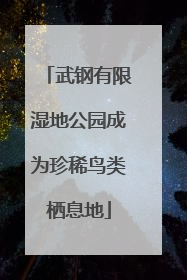 武钢有限湿地公园成为珍稀鸟类栖息地