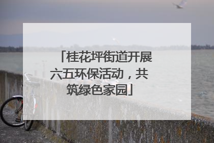 桂花坪街道开展六五环保活动，共筑绿色家园