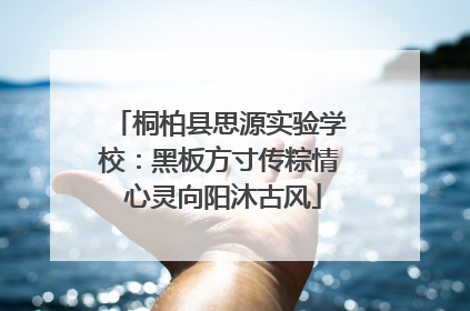 桐柏县思源实验学校：黑板方寸传粽情 心灵向阳沐古风