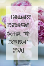 梁山县交通运输局组织开展“路政宣传月”活动