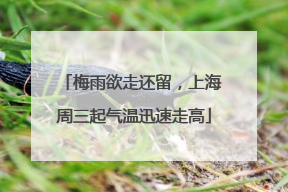 梅雨欲走还留，上海周三起气温迅速走高