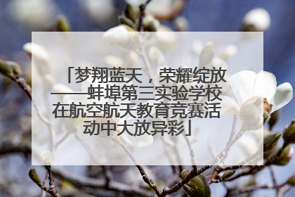 梦翔蓝天，荣耀绽放——蚌埠第三实验学校在航空航天教育竞赛活动中大放异彩