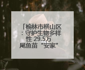 榆林市横山区：守护生物多样性 29.5万尾鱼苗“安家”无定河