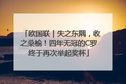 欧国联｜失之东隅，收之桑榆！四年无冠的C罗终于再次举起奖杯