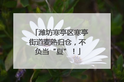 潍坊寒亭区寒亭街道麦熟归仓，不负当“夏”！