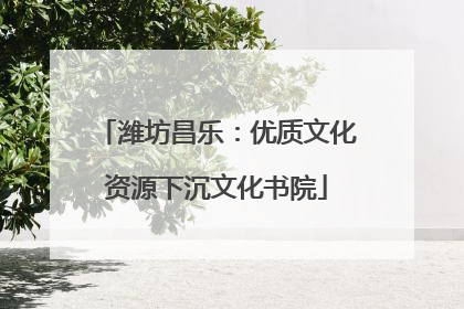 潍坊昌乐：优质文化资源下沉文化书院