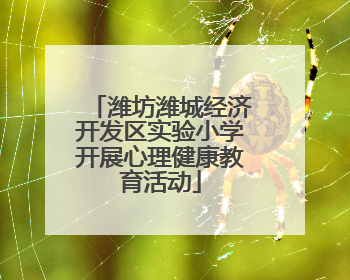 潍坊潍城经济开发区实验小学开展心理健康教育活动