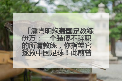 潘粤明炮轰国足教练伊万：一个装傻不辞职的所谓教练，你指望它拯救中国足球！此前曾多次发文评价国足