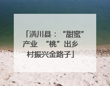 潢川县：“甜蜜”产业  “桃”出乡村振兴金路子
