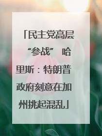 民主党高层“参战” 哈里斯：特朗普政府刻意在加州挑起混乱