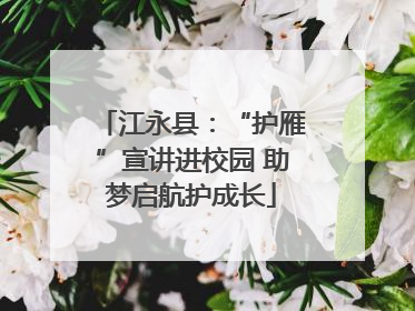 江永县：“护雁”宣讲进校园 助梦启航护成长
