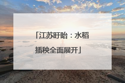 江苏盱眙：水稻插秧全面展开