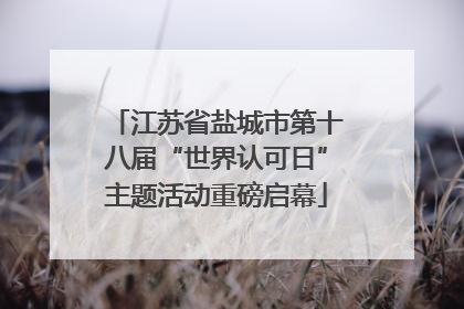 江苏省盐城市第十八届“世界认可日”主题活动重磅启幕
