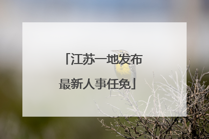 江苏一地发布最新人事任免