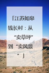 江苏如皋钱长村：从“卖草坪”到“卖风景”