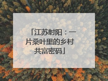 江苏射阳：一片桑叶里的乡村共富密码