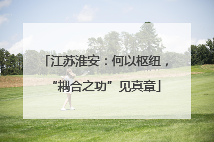 江苏淮安：何以枢纽，“耦合之功”见真章