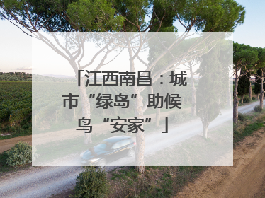 江西南昌：城市“绿岛”助候鸟“安家”