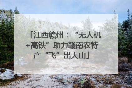 江西赣州：“无人机+高铁”助力赣南农特产“飞”出大山